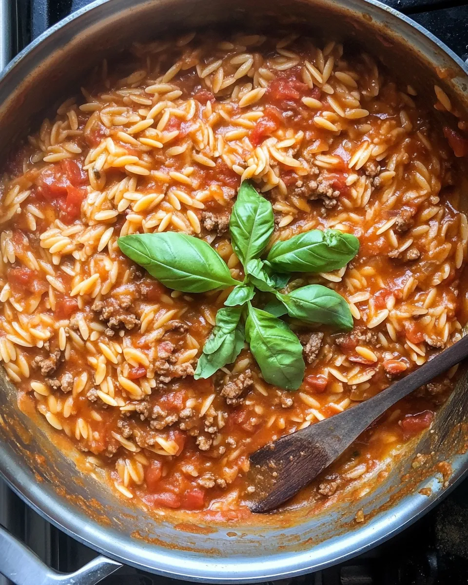 Ingredients for Savor the Flavor: Delightful Beef Orzo Recipe in Creamy Tomato Sauce