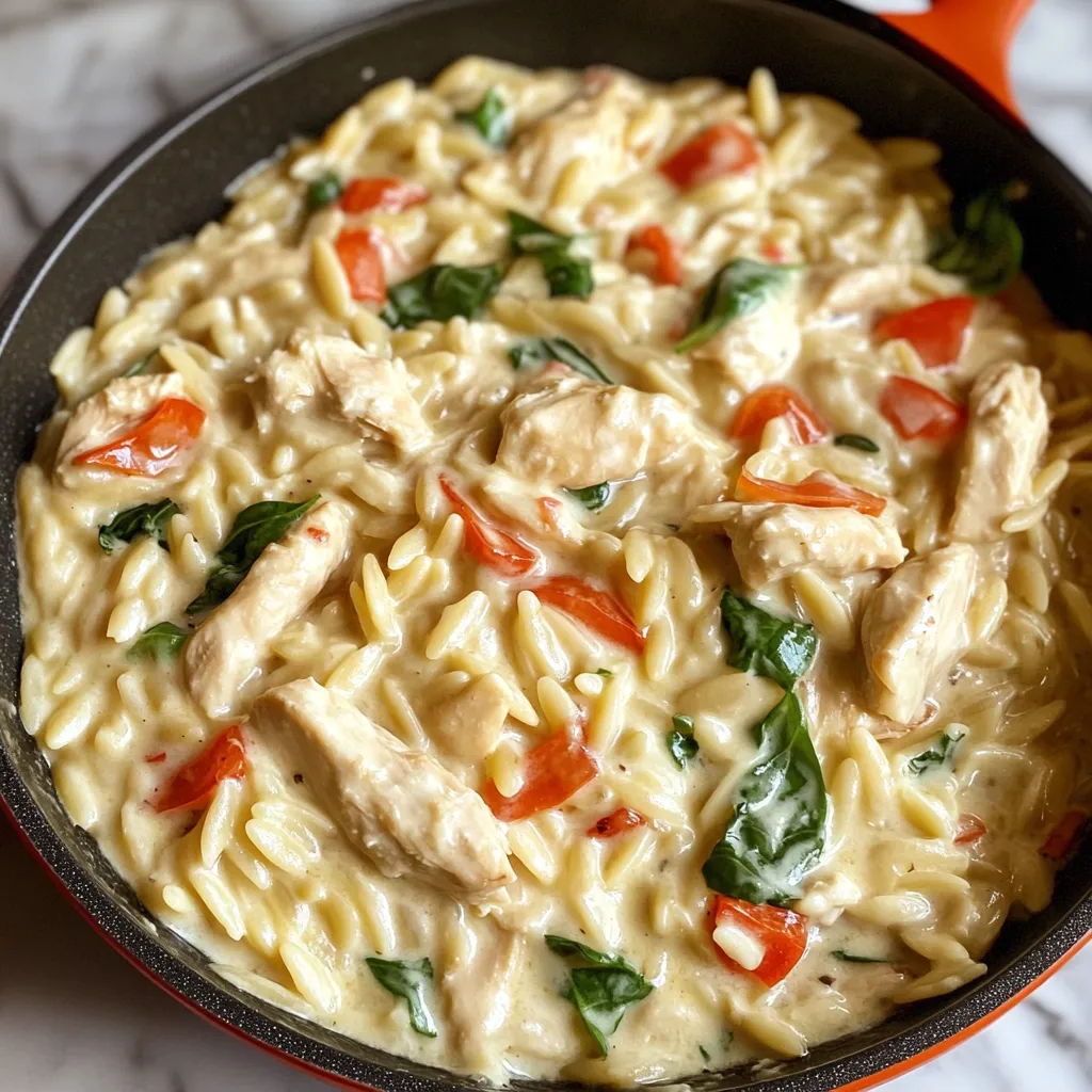 Photo of featured for Creamy Chicken Orzo: Easy One-Pan Delight